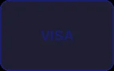 VISA支付
